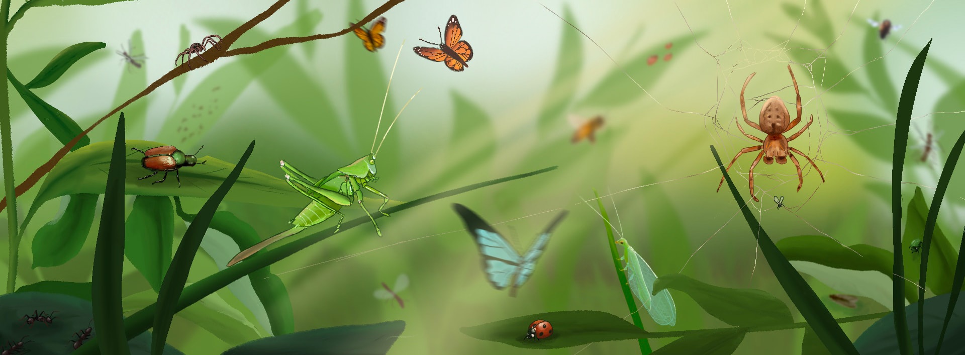 Illustrazione digitale di Adèle Baer, 2022