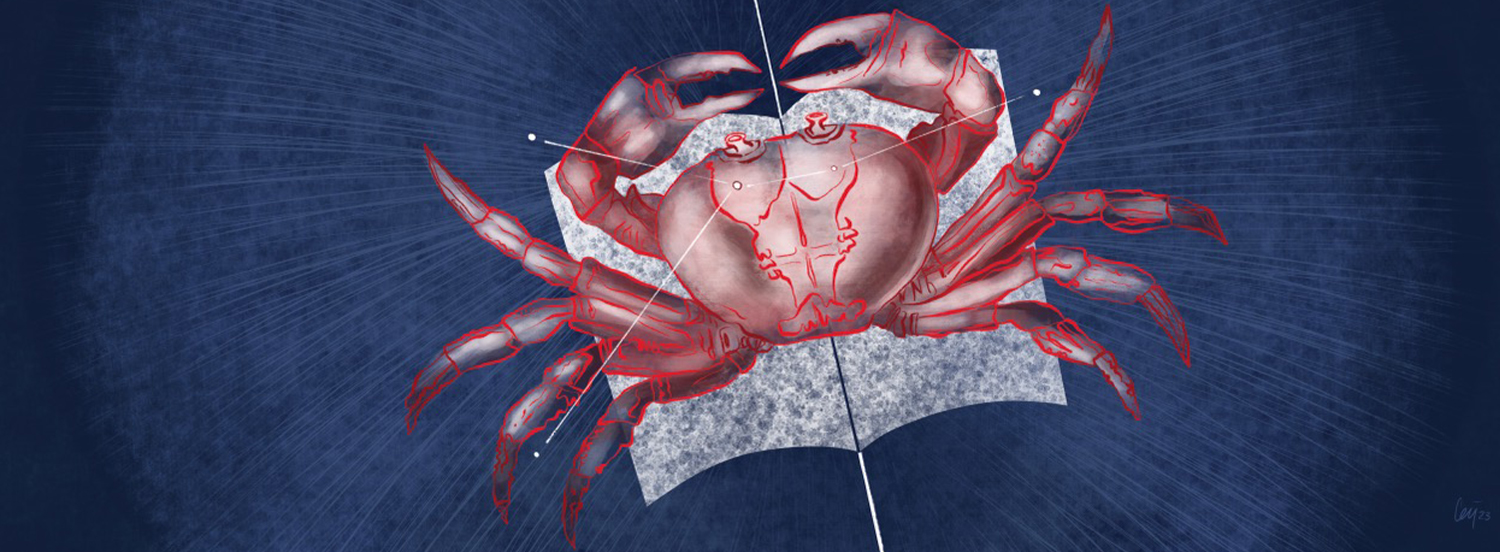 Illustrazione digitale di Cecilia Viganò, 2023