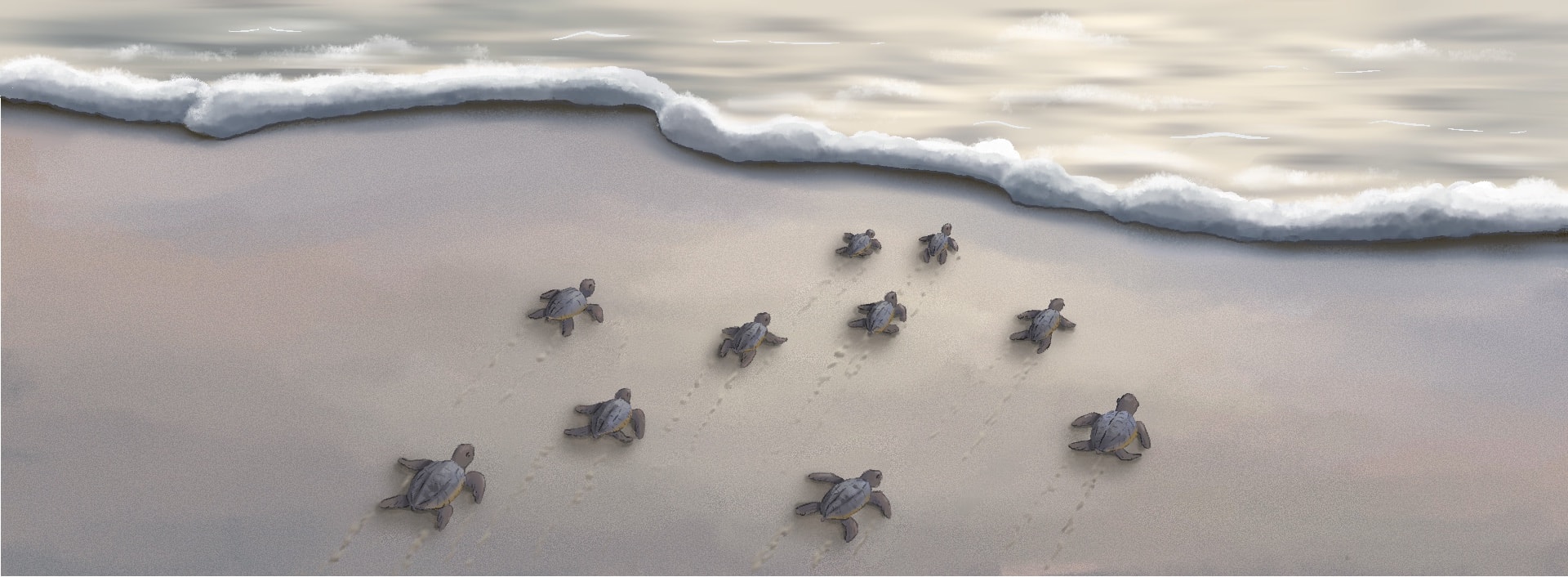 Illustrazione digitale di Adèle Baer, 2022