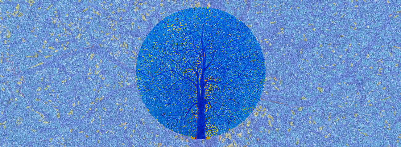 Illustrazione di Gaetano Di Riso, 2021