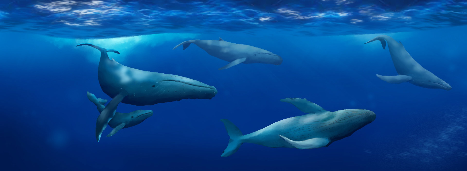 Illustrazione digitale di Adèle Baer, 2022