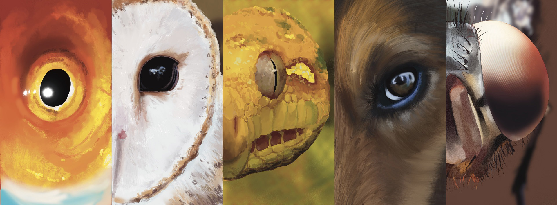 Illustrazione digitale di Adèle Baer, 2022